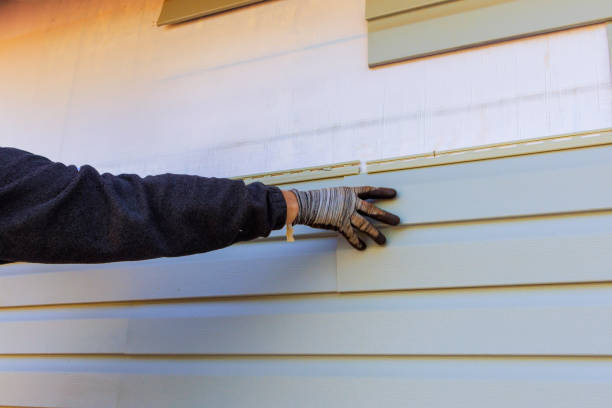 Best Custom Trim and Detailing for Siding  in Fort Thompson, SD